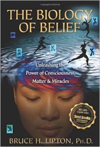 The Biology of Belief